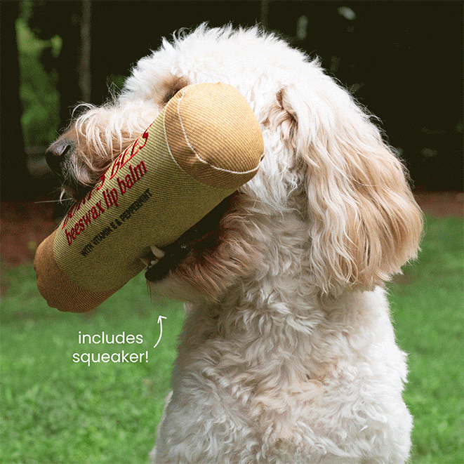 Burt’s Balm Dog Toy & Pawrent Balm 4-Pack Set